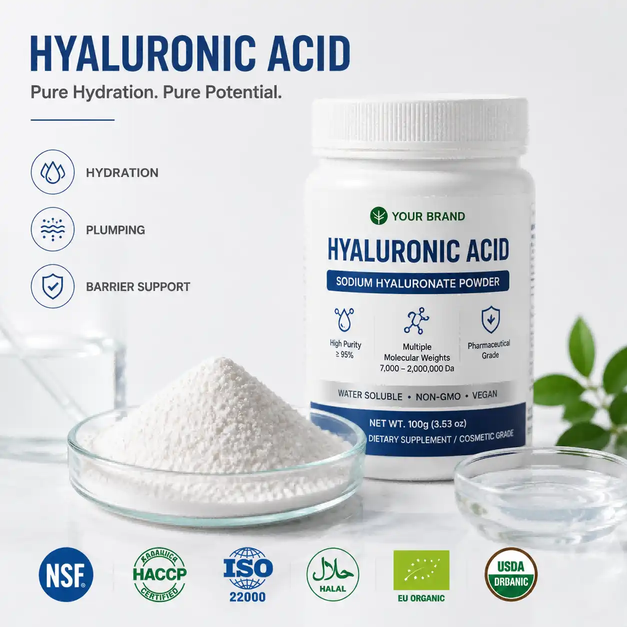 Hyaluronic Acid Powder: Deep Hydration & DIY Serum Hyaluronic Acid Powder: Deep Hydration & DIY Serum